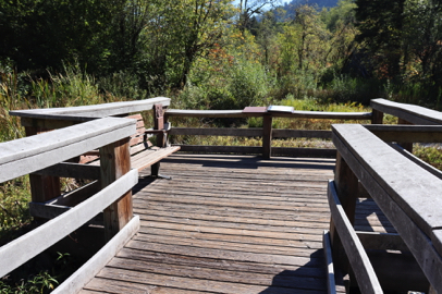 Bench and informational picture book at wetland overlook – one of three overviews – boardwalk – animal plaque